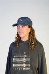 The Bird of Prey Cap