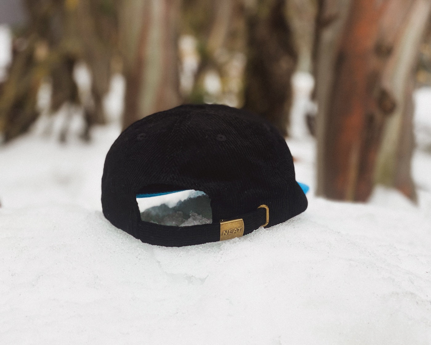 Storm Bird Cap